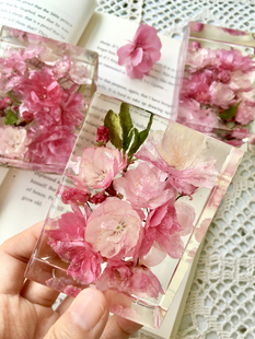【樱花镇纸】 植物标本摆件立方体树脂滴胶 纯手工节日礼物