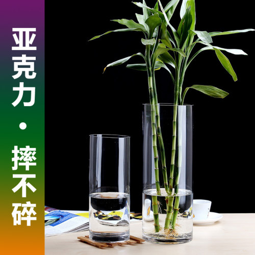 亚克力花瓶水培富贵竹龙竹文昌竹