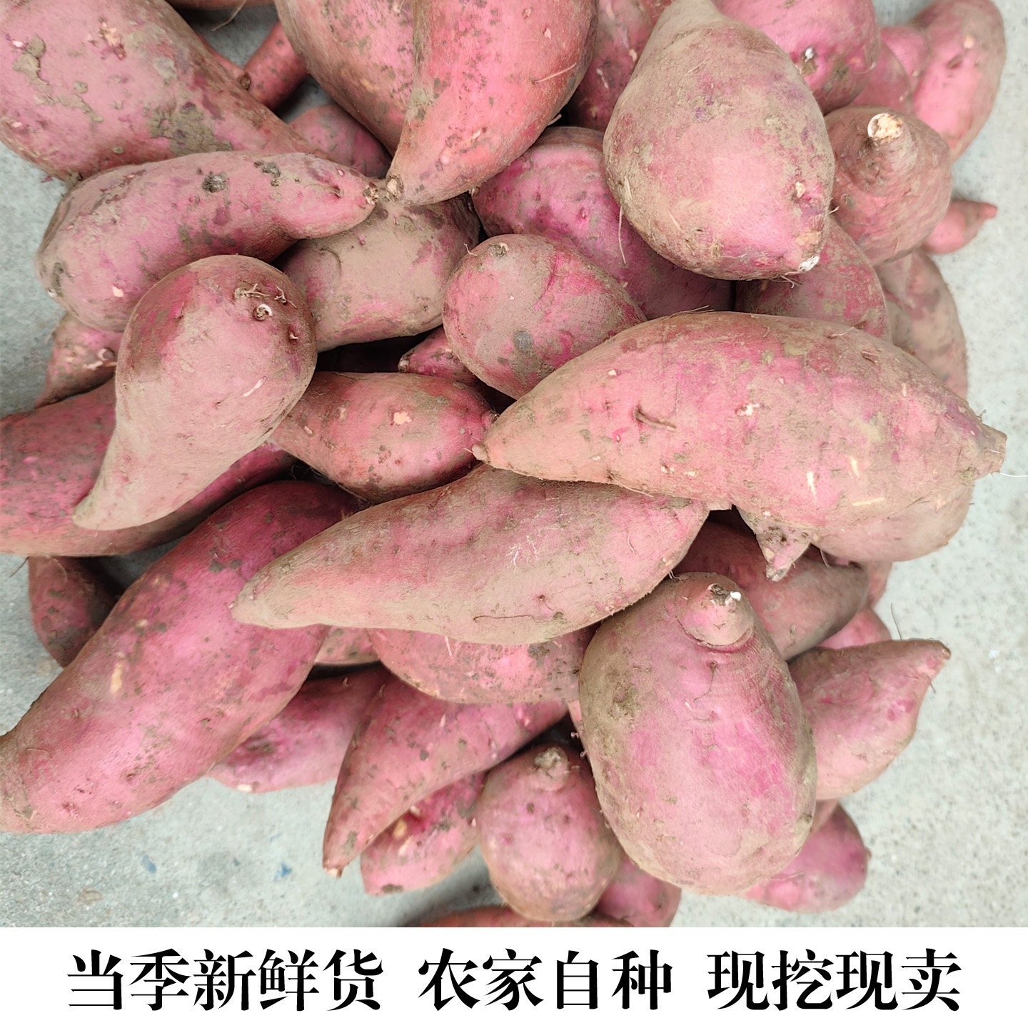 湖北现挖农家自种甜蜜红薯新鲜