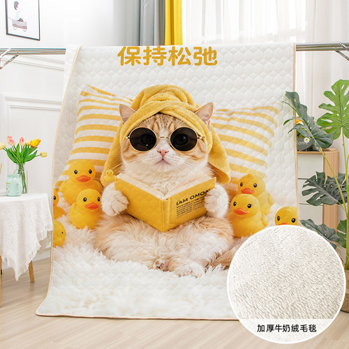 可爱猫猫午休毯办公家用小毛毯男女寝室软糯牛奶绒毛毯200x230