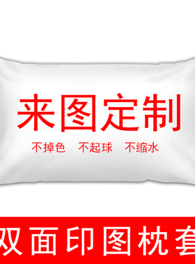 来图定制枕套动漫火影单人海贼王二次元美女蕾姆崩坏穹妹枕头套