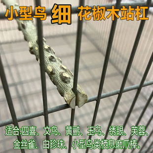 小型鹦鹉花椒木鸟杠文鸟蜡嘴绣眼小麻雀特细栖息木站棍磨爪磨嘴棒