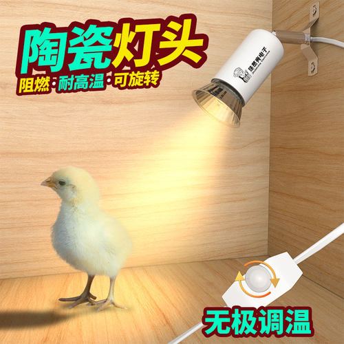小鸡保温灯芦丁鸡保温箱育雏保暖灯可调温陶瓷吊灯乌龟晒背补钙灯 - 封面