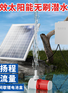 12V50W太阳能水泵24小时自动续航循环假山鱼池户外潜水泵锂电池