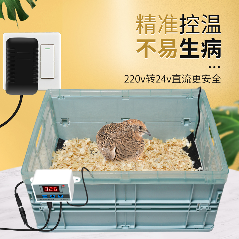 鹦鹉保温箱雏鸟孵化大型用品