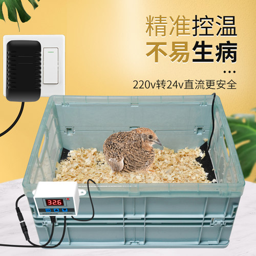 鹦鹉保温箱雏鸟孵化小型用品