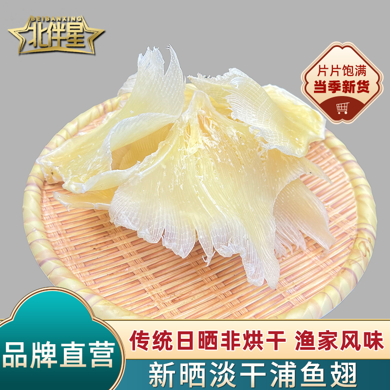 北海特产海狗翅浦鱼软骨翅新鲜鮰鱼翅水产干货孕妇滋补煲汤食