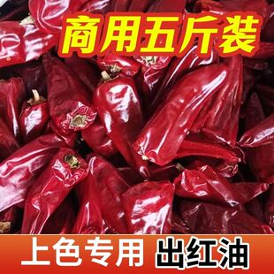 不辣超红特香北京红铁皮椒甜板椒干红益都板椒整个大辣椒出红油
