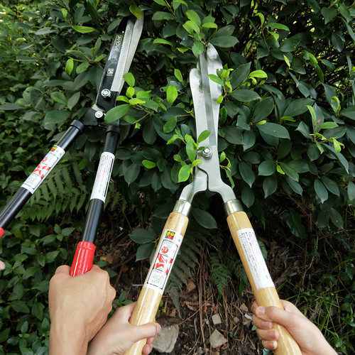 日本黄金钢管柄花园草坪剪