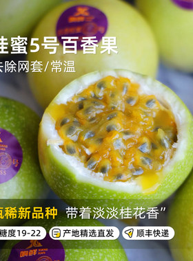 新品种桂蜜5号百香果海南特产