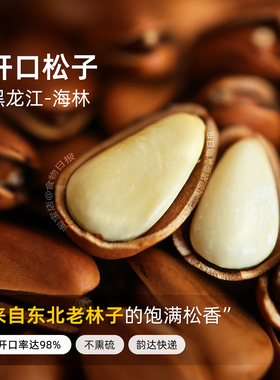 食物日报黑龙江特大开口松子王不熏硫磺不含防腐剂东北深山红松林