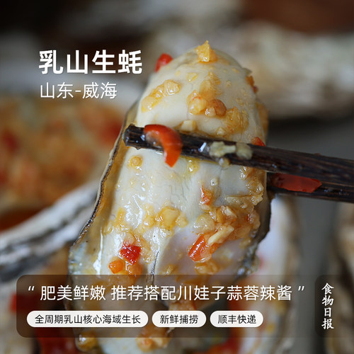 新鲜捕捞乳山生蚝肥美鲜嫩