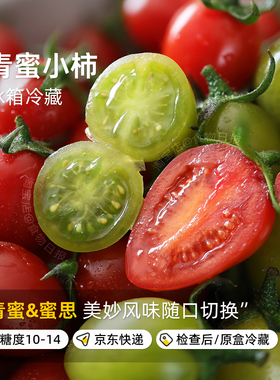 食物日报蜜思提拉青蜜西施小番茄红色青色双拼小柿子非青甜圣女果
