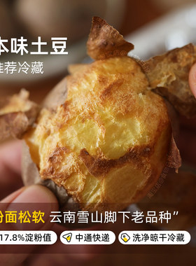 云南红皮黄心土豆优质代餐碳水