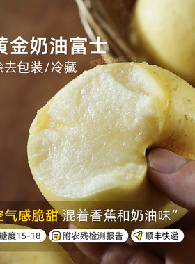 第九季晚采余味金果金黄奶油富士
