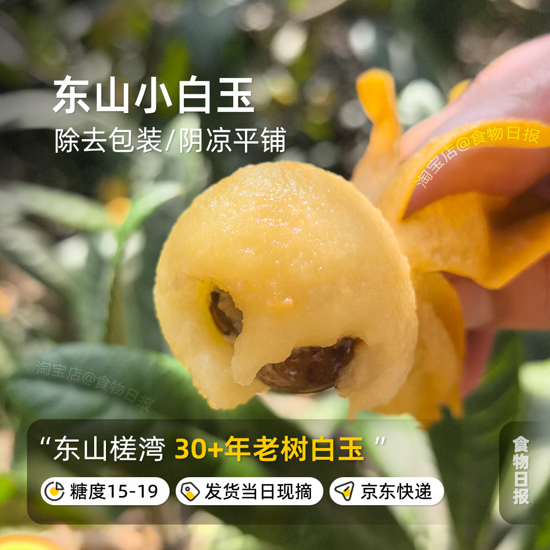 5日排！食物日报东山小白玉枇杷正宗苏州槎湾村新鲜水果老树枇杷