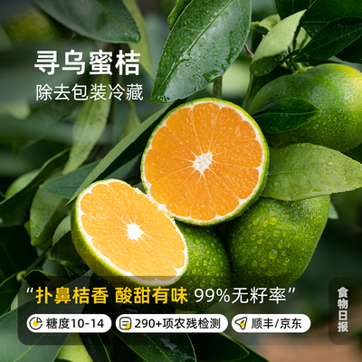乌蜜橘江江西赣州柑橘