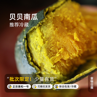 惠和一号贝贝南瓜板栗口感粉糯香甜正宗优质代餐碳水早餐 等下批