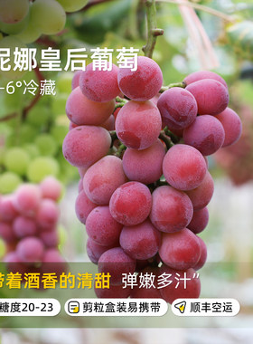 云南红河妮娜葡萄高甜多汁酒香