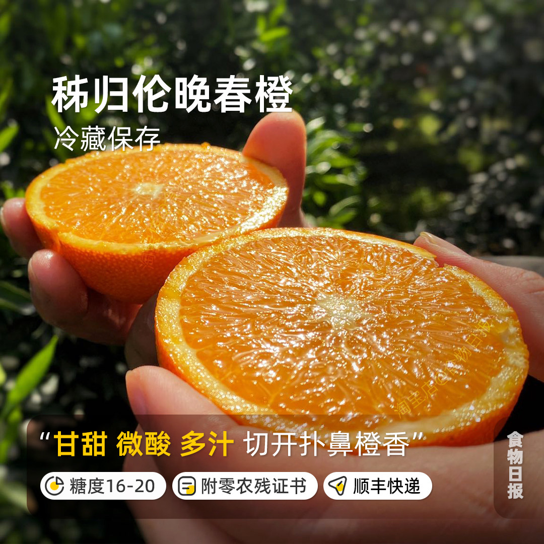 湖北神农架秭归春橙伦晚图片