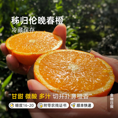 湖北神农架秭归春橙伦晚