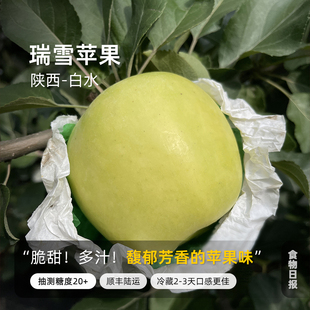 食物日报瑞雪苹果陕西渭南当季新鲜水果脆甜青苹果现货整箱礼盒装