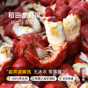 食物日报龙虾尾湖北潜江稻田虾超声波清洗无冰衣无黑头特级带调料
