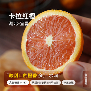 食物日报 秭归中华红橙卡拉卡拉红橙