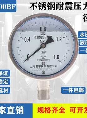 YN100BF不锈钢耐震压力表316L接头不锈钢表壳耐腐蚀包检测过关