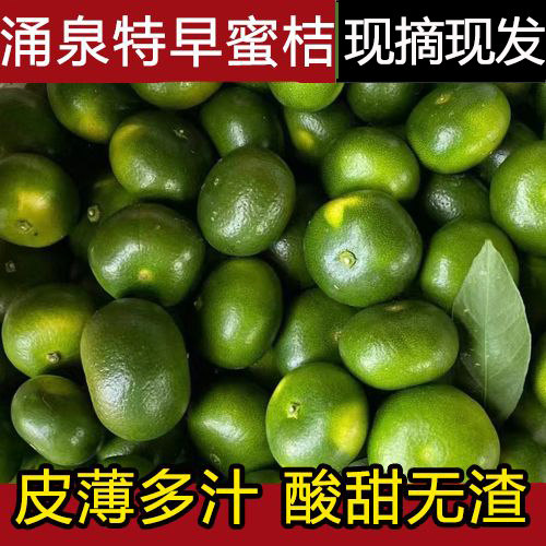 新鲜散装临海涌泉特早熟青皮桔子