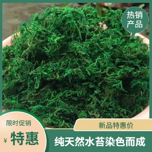 盆景草苔多少钱 盆景草苔价格 小麦优选