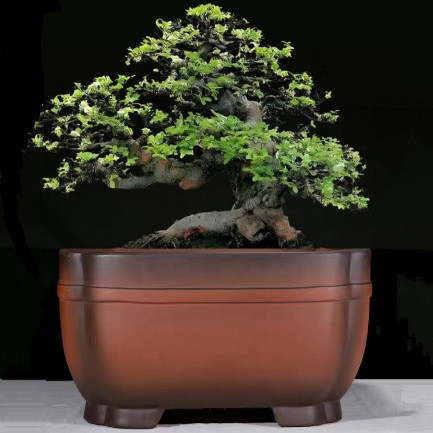 宜兴紫砂花盆60公分大口径仿古四方盆景盆高档精品盆栽造景盆古典