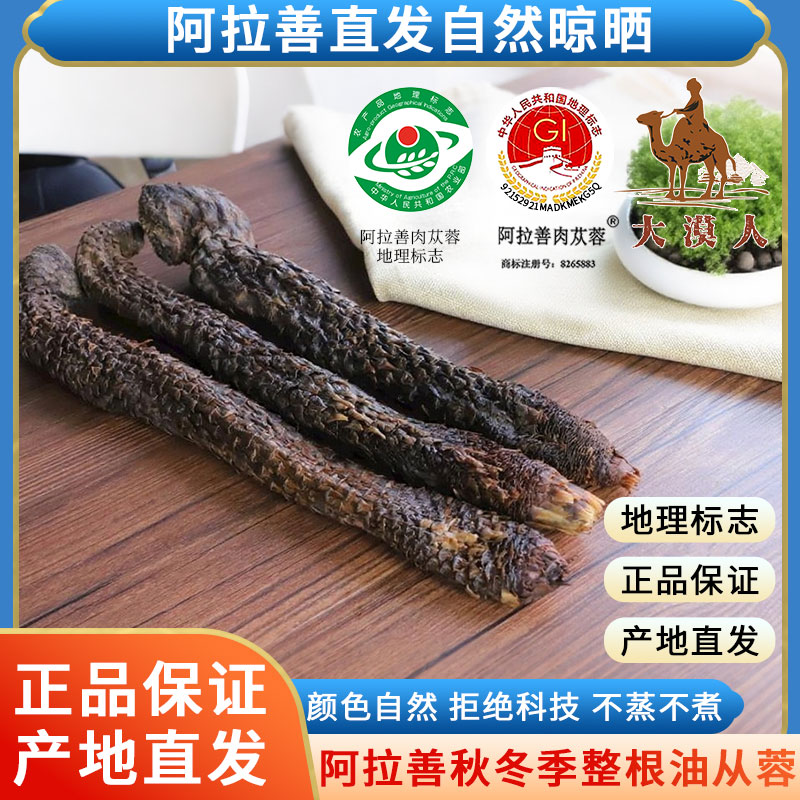 正品内蒙古油肉苁蓉阿拉善整根500g男性非特级锁阳淫羊藿酒料