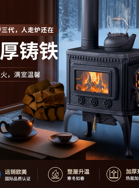 纽波特家用取暖烤火炉新款901真火壁炉客厅柴壁炉别墅民宿自建房