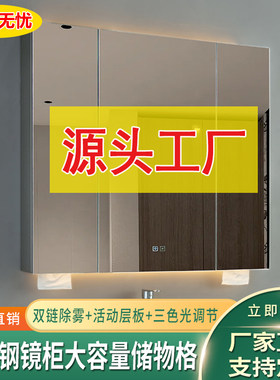 不锈钢浴室镜柜挂墙式带灯镜面柜