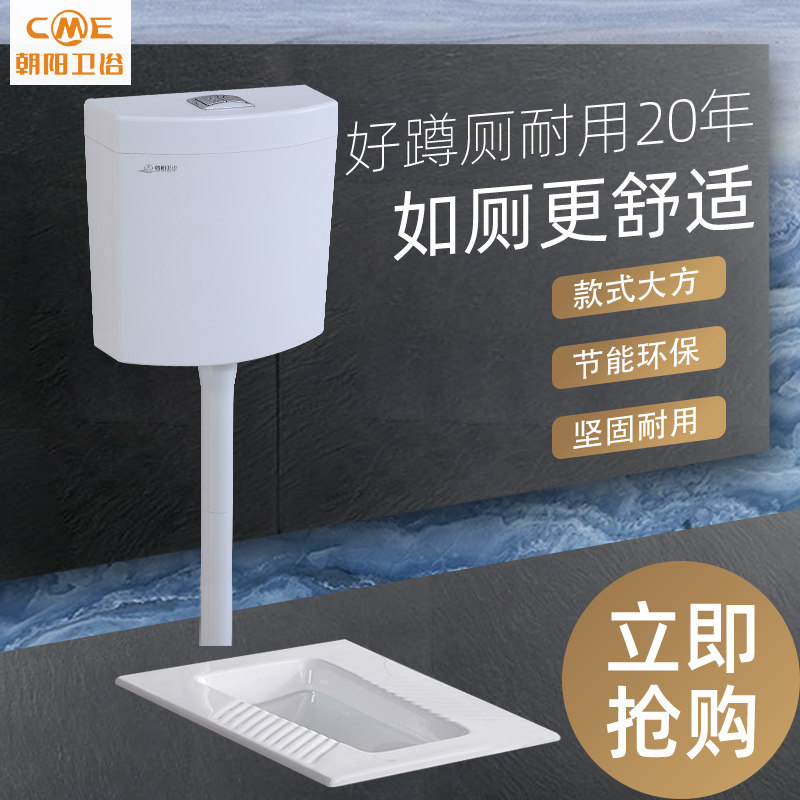 包邮朝阳卫浴双按挂墙式水箱大流量节水静音厕所蹲便器冲水箱T210