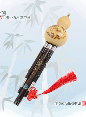 丝语紫竹九孔葫芦丝专业演奏宽音域超七孔成人儿童传统民族古风