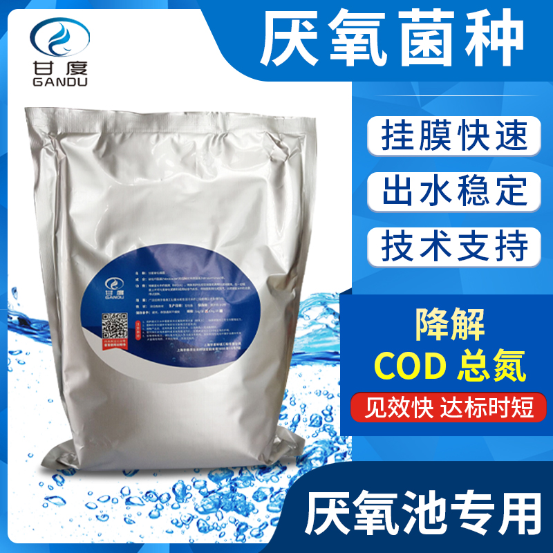 甘度污水处理厌氧菌种厌氧池脱氮
