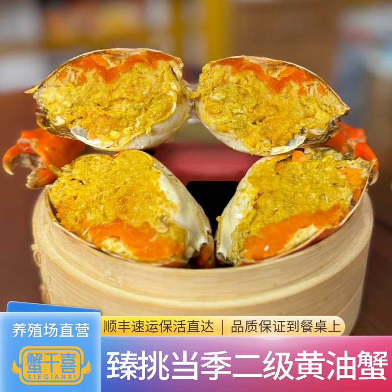 正宗二级黄油蟹鲜活6两膏油蟹特大野生青蟹爆膏满油母蟹顺丰包活