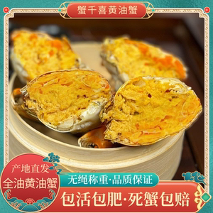 正宗鲜活全油黄油蟹头手黄油蟹