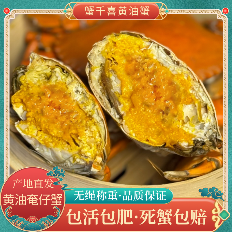 鲜活初手黄油蟹特大黄油奄仔蟹5两肥美流油蟹场直发顺丰包活海鲜