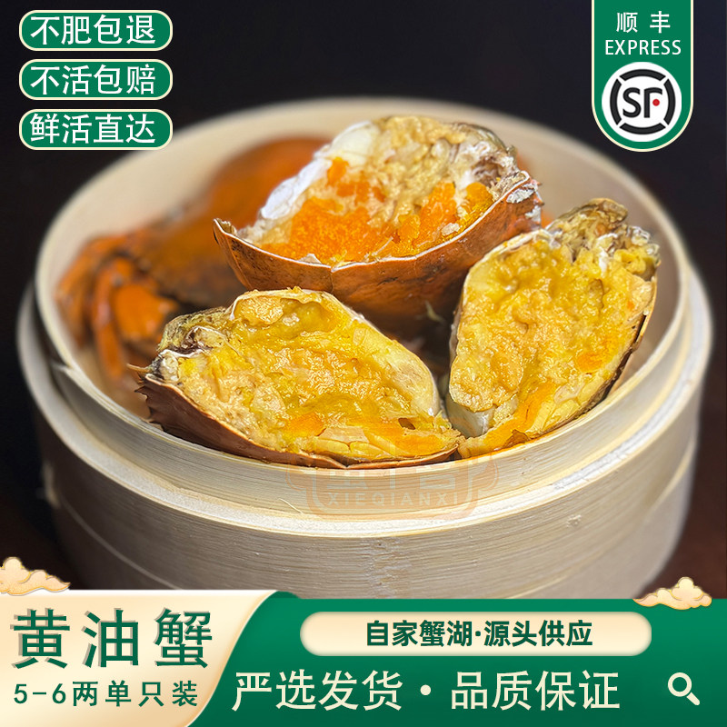 正宗黄油蟹螃蟹海鲜母蟹海蟹