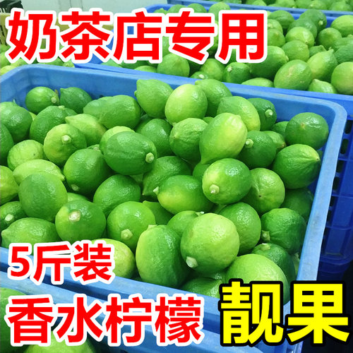 广东香水柠檬新鲜无籽台湾奶茶店