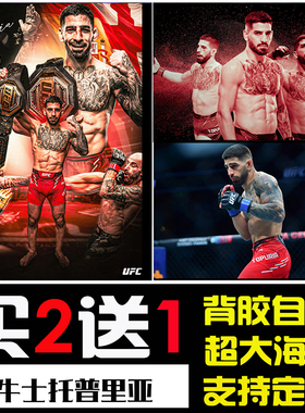 斗牛士托普里亚UFC自粘海报