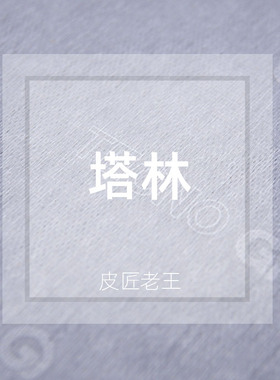 意大利进口塔林TYLAN 水刺布TECNO GI抗拉伸手工皮具diy材料辅料