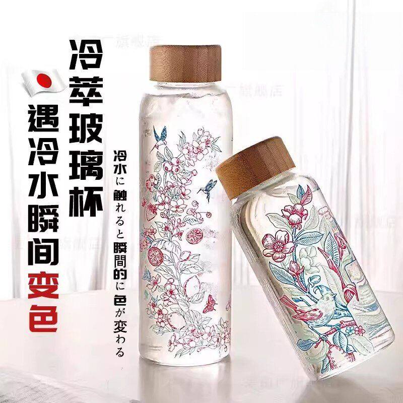 冷泡杯子2026新款玻璃杯女高颜值咖啡果茶杯高硼硅耐高温防摔水壶