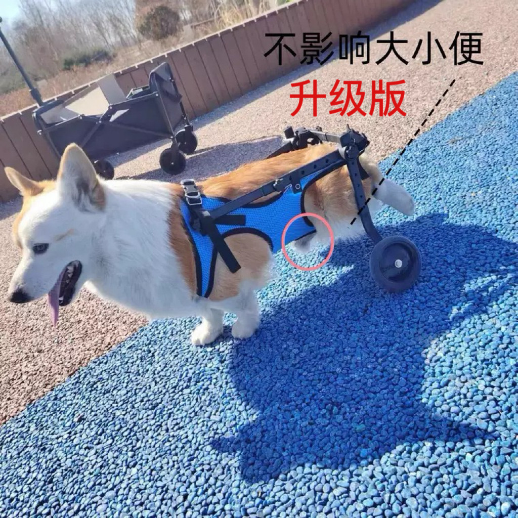 狗轮椅后肢瘫痪宠物代步车残疾狗宠物推车