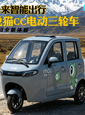 锐猫TT国标全封闭锂电三轮家用
