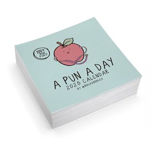 现货2025 Punny 每日台历|有趣的日历