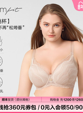 【蕾丝纤桃杯】Comfit大胸显小内衣女调整型蕾丝文胸CBW0177